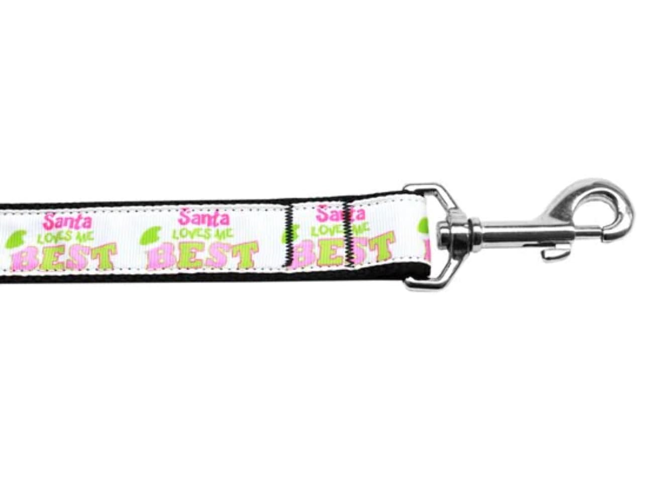 Christmas Pet Dog & Cat Nylon Collar or Leash, &quot;Santa Loves Me Best&quot; LG Collar