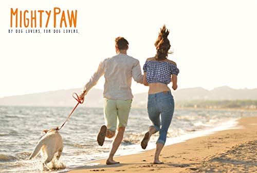 Mighty Paw Waterproof Dog Leash - Smell-Proof Pet Lead Against Dog Foot Smell - Ideal Nylon Reflective Dog Leash For Swimming - Camping - Hiking - Reflective Safety Stripe - 6 Foot Leash - Orange