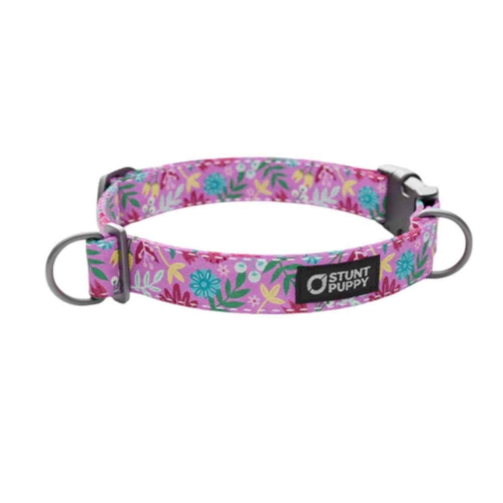 Frolic Summer Everyday Collar, Extra Large