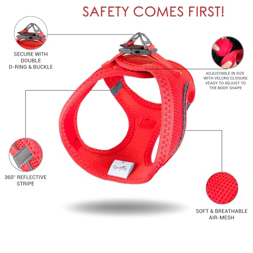 Tailpetz XXSmall Dog Harness - Adjustable Step in No Pull Harness for Puppies Under 5 Pounds (Bright Red, 2XS)