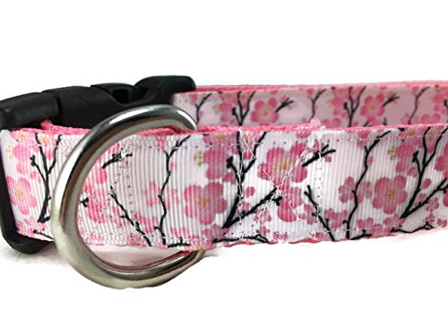 Spring Dog Collar, Caninedesign, Valentine, St Patricks Day, Easter, 1 Inch Wide, Adjustable, Nylon, Medium And Large (Cherry Bl