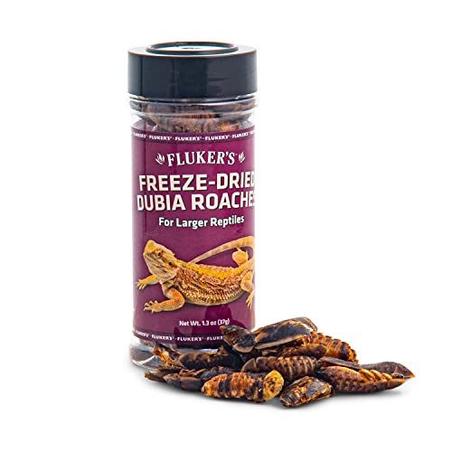 Flukers Freeze Dried Dubia Roaches for Reptiles