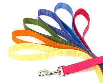 Coastal Pet Products 5/8 Inch Nylon Lead 4 Feet Blue Lagoon