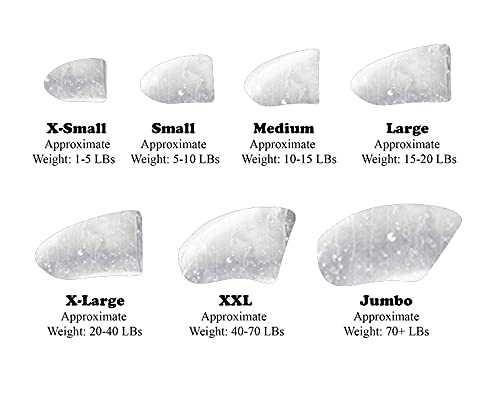 Purrdy Paws 40-Pack Soft Nail Caps for Dogs Claws Clear Medium