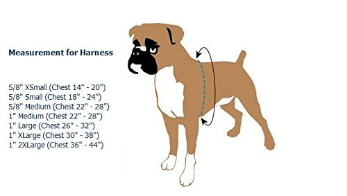 Freedom No-Pull Harness 1' Lg Only Available In 18 Colors- Direct From Inventor (Neon Orange W/Black Loop)