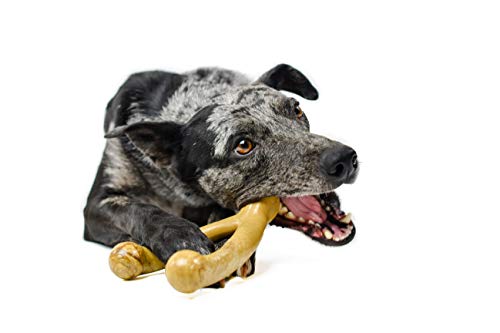 Pet Qwerks Wishbone Barkbone - Nylon Chew Toy For Aggressive Chewers - Peanut Butter Flavor - 6.75''
