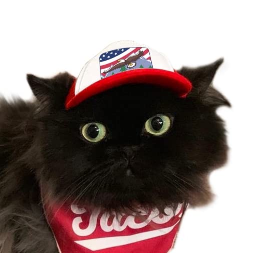 Puplid Trucker Hats For Kittens - Premium Stylish Sun Protection For The Modern Cat - Adjustable Secure Fitting Cat Hat (Red, Ea