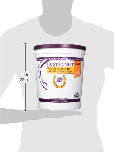 Horse Health Joint Combo Classic, An Unbeatable Joint Combination Supplement for Horses, Cinnamon Apple 8 Pounds