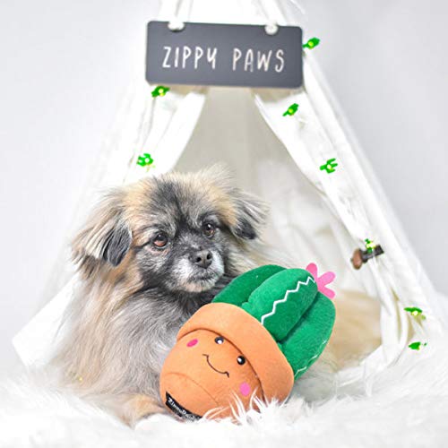 Fun Dog Toy