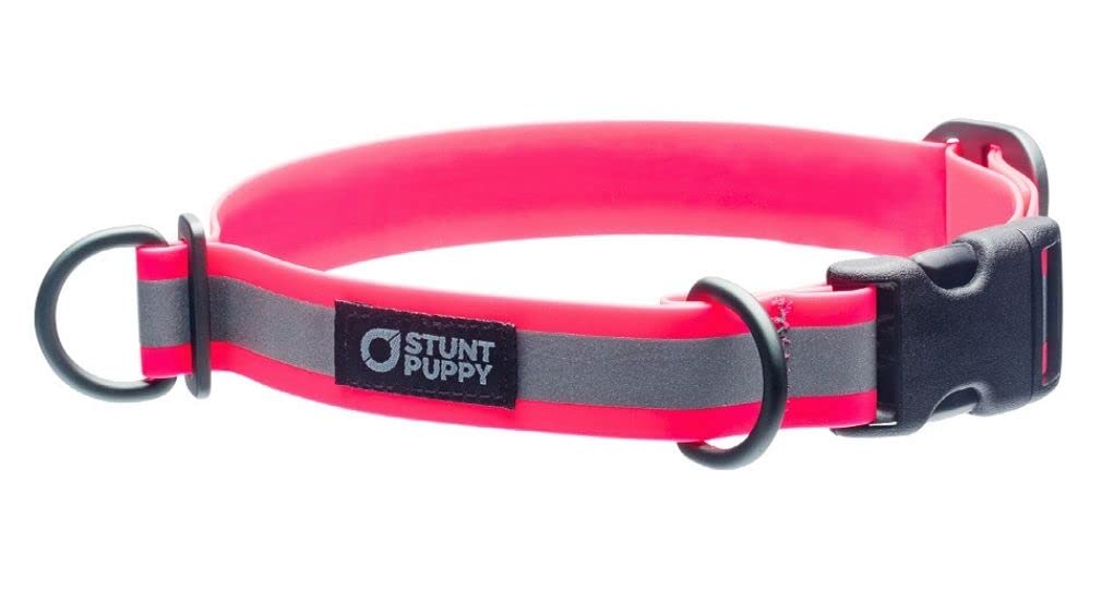 Stunt Puppy Go Dog Glo Dry Dog Collar, Pink