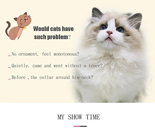 Chukchi Heart Bling Cat Collar With Safety Belt And Bell 8-11 Inches(Pink)