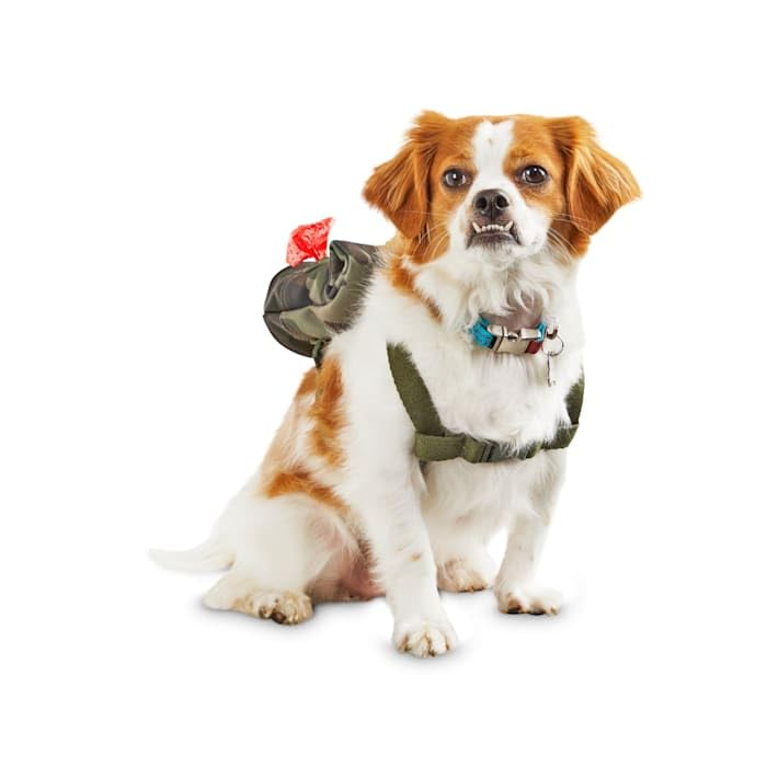 Reddy Camo Canvas Dog Backpack, Small/Medium