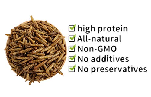 HANDPOINT Black Soldier Fly Larvae Superior to Dried Mealworms for Chickens - Non-GMO - Treats for Birds Chickens Hedgehog Hamst