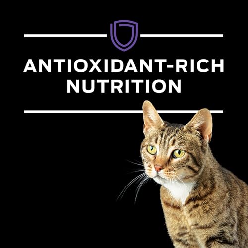 Purina Pro Plan Veterinary Diets DM Dietetic Management Feline Formula Dry Cat Food - 6 lb. Bag