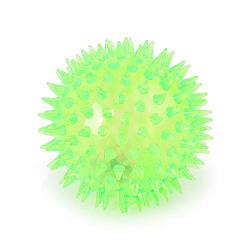 Dog Trust Spiked Rubber Ball For Dog Training Ball (Pack Of 1 Pcs) Colour May Very Suiatble For All Breeds