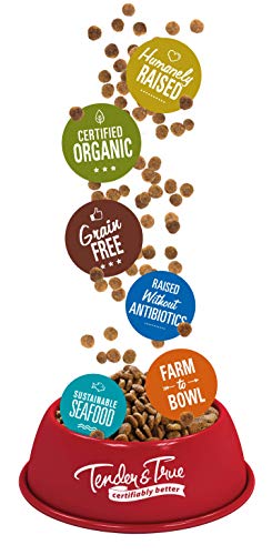 Tender & True Antibiotic-Free Chicken & Brown Rice Recipe Dog Food, 11 lb