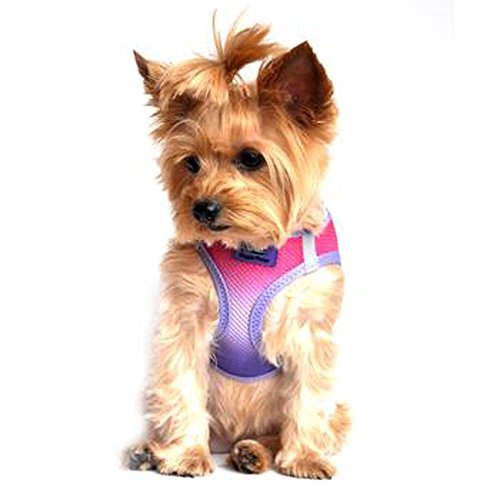 Doggie Design Dog Harness - No Choke Dog Harness, Dog Vest, Mesh Polyester, Pet Harness, Simple Step In And Go Design, Harness For Dog - Raspberry Sundae, L