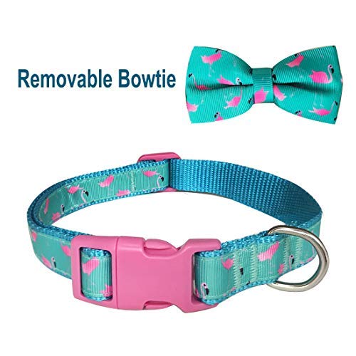 Azuza Bowtie Dog Collar, Soft & Comfy Dog Collar With Bow, Fun Patterns & Bright Color For Medium Dogs