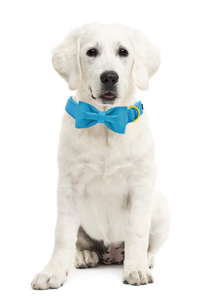 Maca Bates Blue Dog Collar With Bow Tie For Dogs Solid Colors Bowtie Soft Adjustable Breakaway Puppy Collars Birthday Gift For S