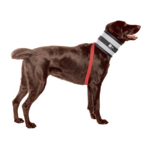 Bitenot Collar, 8 W X 32 L