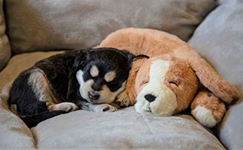 Calmeroos Puppy Heartbeat Toy Sleep Aid With 2 Long-Lasting Heat Packs Last 36 Hours Each Puppy All Breeds Anxiety Relief Soothe