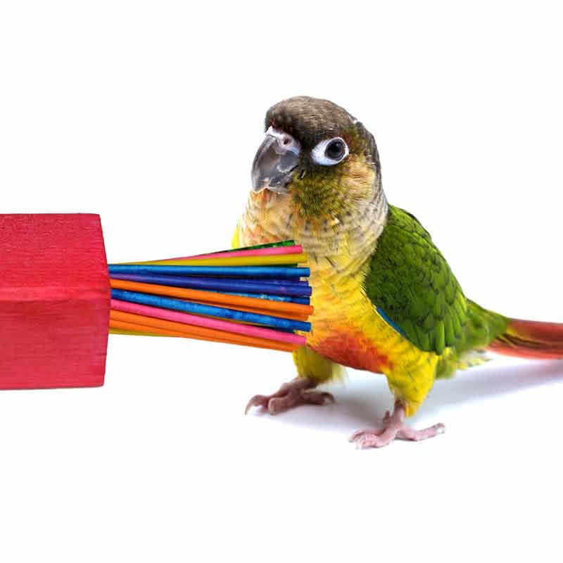 Super Bird Creations Sb300 Mini Paper Party Bird Toy, Medium Bird Size, 4.5' X 2'