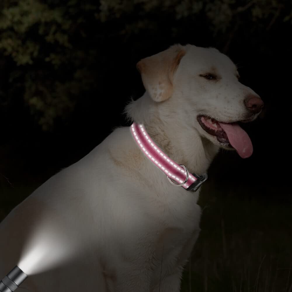 Taglory Reflective Adjustable Dog Collars For Puppy Small Medium Large Dogs, Thin Nylon Webbing And Quick Release Plastic Buckle(Hot Pink,Large)