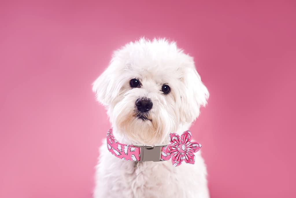Lionet Paws Dog Collar With Flower, Halloween Flower Collar For Dog,Adjustable Comfortable Dog Collar Gift For Puppy Small Medium Large Dog