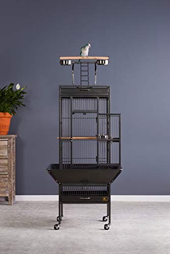 Prevue Pet Products Wrought Iron Select Bird Cage Black Hammertone 3151BLK, 18 x 18 x 57