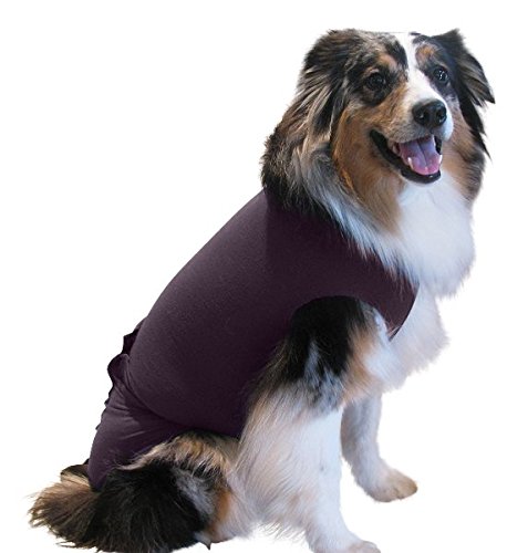 Surgisnuggly Dog Onesie For Surgery Female And Male Dog'S Protects Wounds The Safe Dog Cone Alternative That'S Made With American Textile By Inventors Of The Dog Surgery Recovery Suit Large Plum