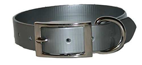 Omnipet Sunglo Ring-In-Center Dog Collar, 1' Wide, Silver, Fits 14.5'- 18' Neck Sizes, Vibrant Colors & Tough Construction Fo