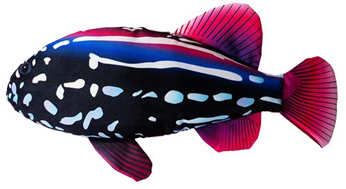 Scoochzilla Grouper Fish | Large And Durable Dog Toy | 18 Inch | By Scoochie