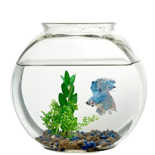 Koller Products 1-Gallon Fish Bowl, Shatterproof Plastic With Crystal Clear Clarity