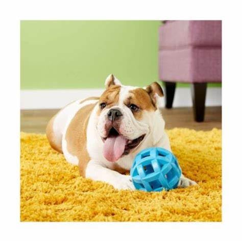 Hol-Ee Mol-Ee Extreme Dog Toy