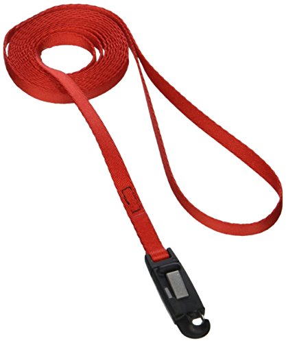 Lil Pals 6 Foot Dog Leash Red With A Width Of 5/16 In.