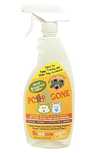 Pet Poop Stain And Odor Remover | 22 Oz Or 1 Gallon | Poop B Gone | Dogs And Cats Poop Stains Removal (22 Ounces)