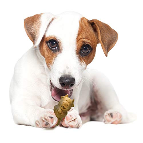 NYL HLTHY EDBL PUP PALS 4CT