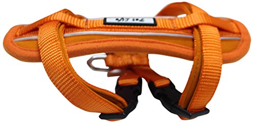 Pet Life Mountaineer Chest Compressive Adjustable And Reflective Easy Pull Pet Dog Harness, Small, Orange