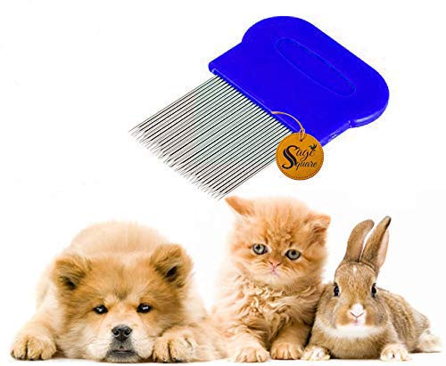 Sage Square 2 In 1 Dog Brush,Pet Long Bristle Comb For Grooming Safety For Pets From Mites,Lice,Ticks For Dog,Puppy,Kitten,Cat (