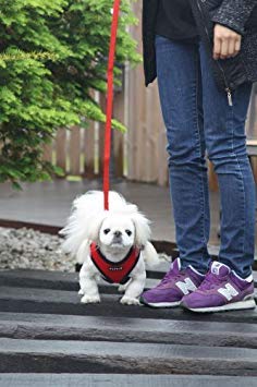 Puppia Soft Dog Harness No Choke Over-The-Head Triple Layered Breathable Mesh Adjustable Chest Belt And Quick-Release Buckle, Brown, X-Small