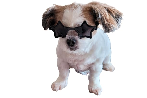G045-Jnst Dog 15-25Lbs Small To Medium Breeds Star Shape Costume Puppy Cat Pet Sunglasses (Black)