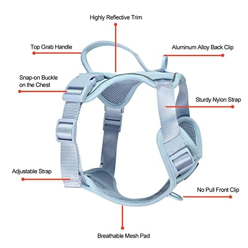 Petmolico Dog Harness For Small Dogs, Cute Harness Vest With Two Leash Clips And Soft Handle, Reflective Easy Walk Puppy Vest -