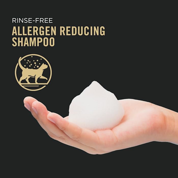 Purina Pro Plan Rinse Free, Allergen Reducing Dry Shampoo for Cats, LIVECLEAR Cleansing Foam - 8.5 oz