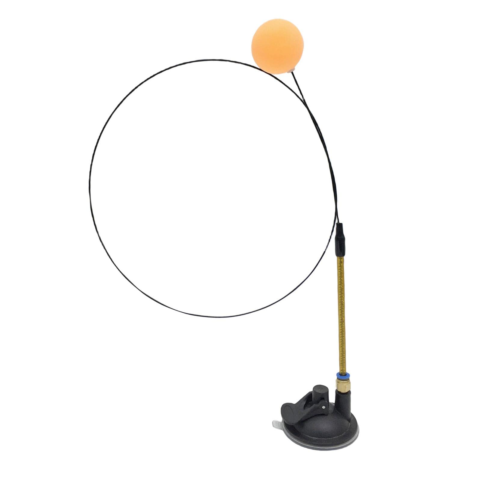 Enakshi Cat Wand Toy Ball Cat Teaser Chase Catching Fun Playing Interactive Cat Toys Aureate Rod | Pet Supplies | Cat Supplies |
