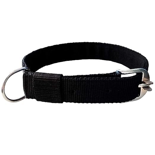 Passion 1 Inch Black Dog Collar