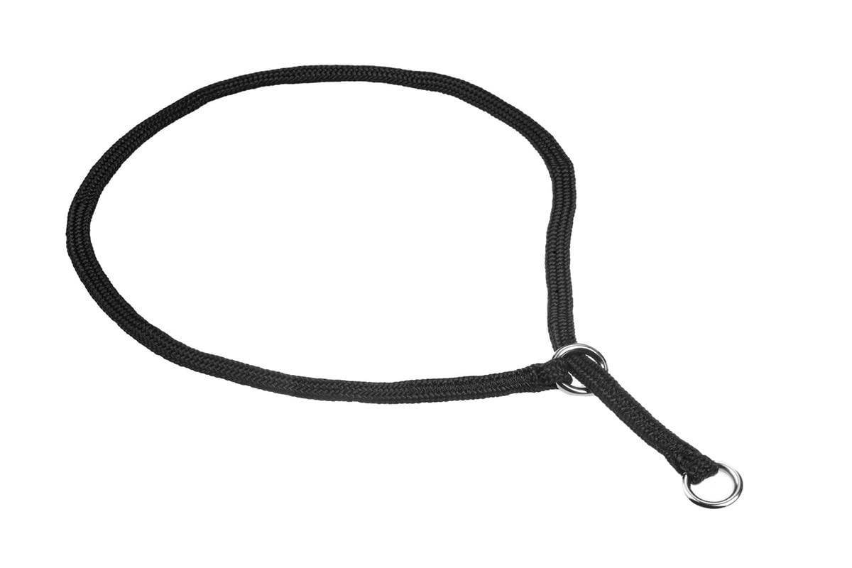 Alvalley Show Slip Collar For Dogs - Flat Braided Nylon Conformation With Chrome Plated Rings - Designer For Shows And No-Pull T
