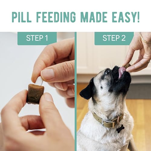 Presidio Pill Buddy Naturals - Duck (Chicken-Free) Hiding Treats for Dogs - Pocket for Any Size Medication - 90 Servings