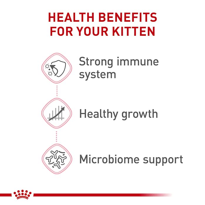 Royal Canin Feline Health Nutrition Dry Kitten Food, Supports Digestive Health, Immune Support and Healthy Energy, 14 lb Bag