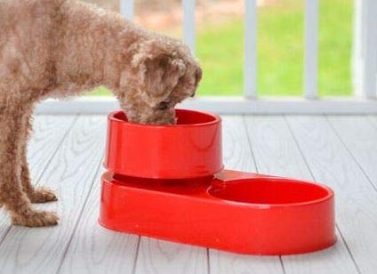 The 3-in-1 Ant Free Pet Dish (Large Red)