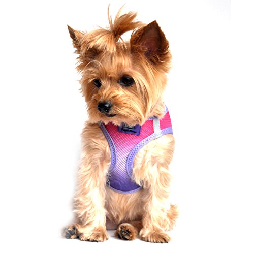 Doggie Design Dog Harness - No Choke Dog Harness, Dog Vest, Mesh Polyester, Pet Harness, Simple Step In Design, Harness For Dog - Raspberry Sundae, 3Xl